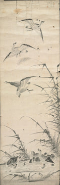 Wild Geese and Reeds by  - Classic Art canvas print