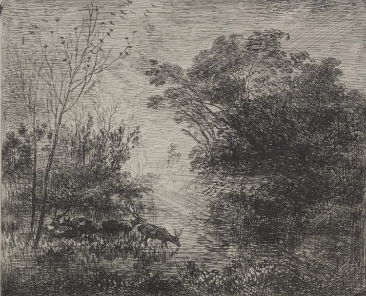 Stags by Charles François Daubigny (French, 1817–1878) - Classic Painting canvas print