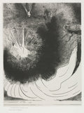 And There Fell a Great Star from Heaven, Burning as it were a Lamp by Odilon Redon (French, 1840–1916) - Symbolist canvas print