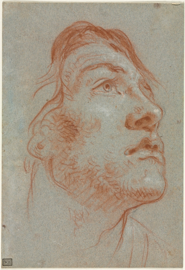 The Head of a Young Man Looking Upwards to the Right by Giovanni Battista Tiepolo (Italian, 1696–1770) - Classic Art canvas print