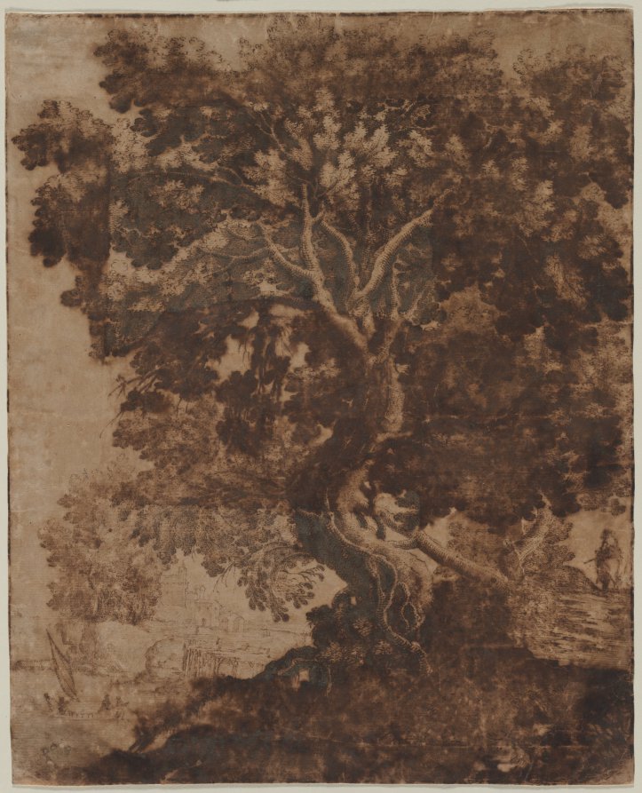 Tree in a Landscape by Ercole Bazicaluva (Italian, c. 1610–1661) - Classic Painting canvas print