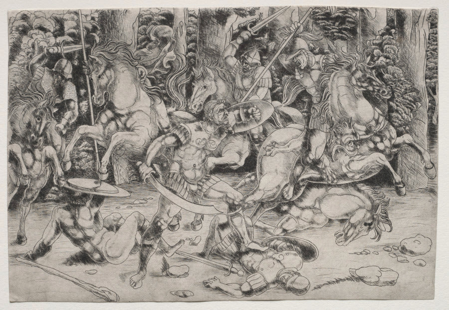 Battle in a Wood by Master of the Year 1515 (Italian) - Classic Art canvas print