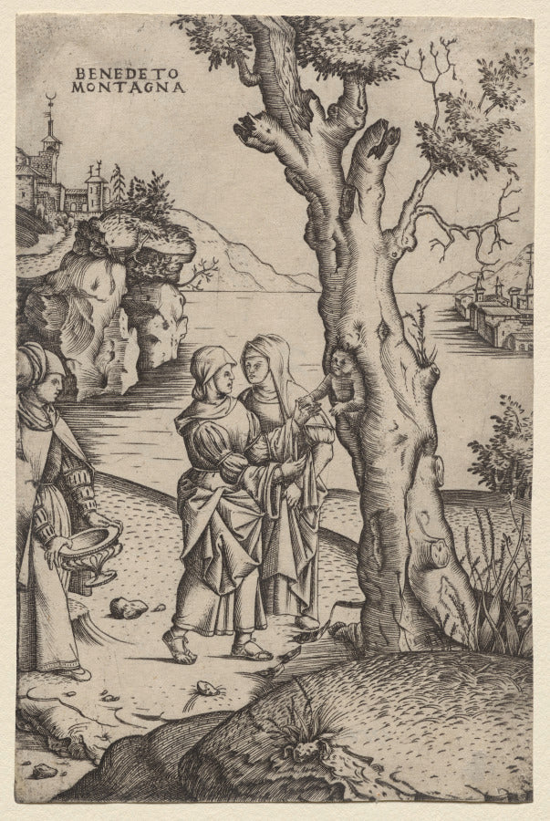 Birth of Adonis by Benedetto Montagna (Italian, c. 1481–1555/58) - Classic Painting canvas print