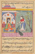 The Brahmans wife who killed a peacock and ate its gallbladder on the physicians advice, from a Tuti-nama Tales of a Parrot Nineteenth Night by  - Classic Art canvas print