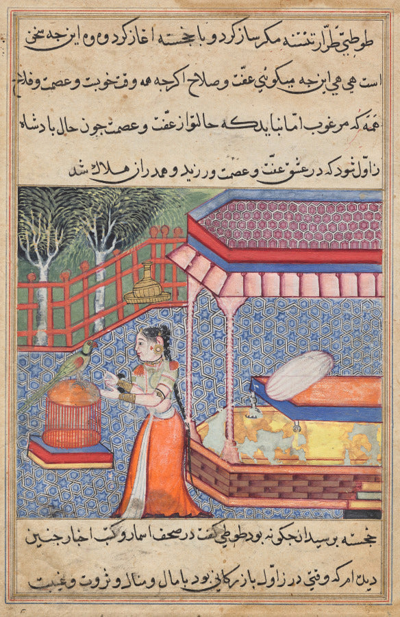 The parrot addresses Khujasta at the beginning of the thirty-sixth night, from a Tuti-nama Tales of a Parrot by  - Classic Art canvas print