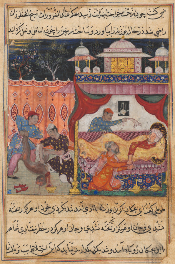 The monkey slain, his blood to be used as medicine for the ailing prince he has bitten, from a Tuti-nama Tales of a Parrot Fifth Night by Basawan​ (Indian, active mid-1500s) - Classic Art canvas print