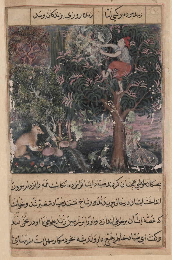 The hunter throws away the baby parrots, who pretend to be dead, and captures the mother, from a Tuti-nama Tales of a Parrot Fifth Night by Basavana (Indian, active c. 1560–1600) - Classic Art canvas print