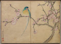 Desk Album Flower and Bird Paintings Bird with Plum Blossoms by Zhang Ruoai (Chinese, 1713–1746) - Classic Art canvas print