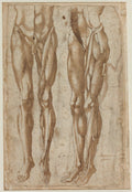 Two Studies of a Flayed Man recto by Bartolommeo da Arezzo (Italian, active about 1550–80) - Classic Painting canvas print
