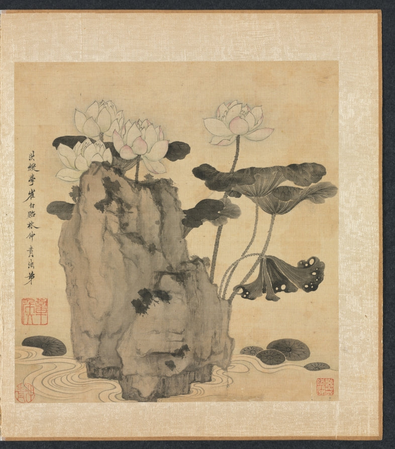 Paintings after Ancient Masters Lotus and Rocks by Chen Hongshou (Chinese, 1598/99–1652) - Classic Art canvas print