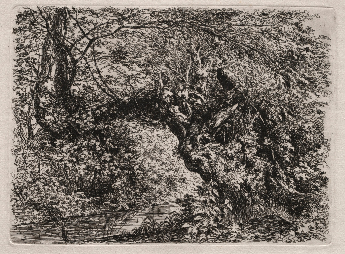 The Old Willow at a Brook by Georg von Dillis (German, 1759–1841) - Classic Painting canvas print