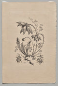 Persian Flowers by Jean Baptiste Pillement (French, 1728–1808) - Classic Painting canvas print