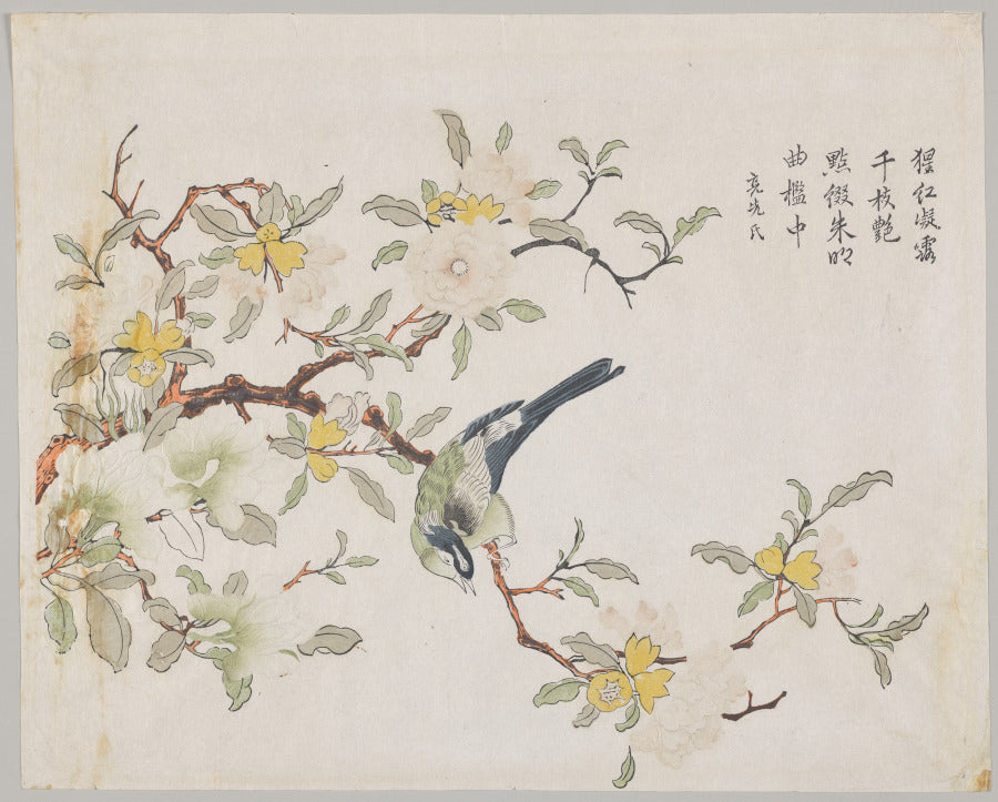 Bird on Pomegranate by  - Classic Painting canvas print