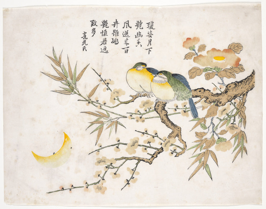 Sleeping Birds by  - Classic Painting canvas print