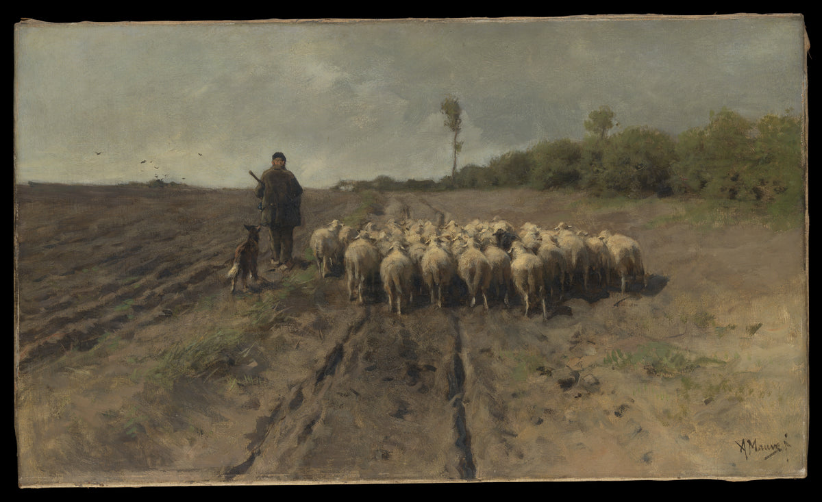 The Return to the Fold by Anton Mauve - Oil Painting canvas print