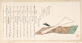 Bachi Plectrum Used in Playing Shamisen by Kubo Shunman - Ukiyo-e canvas print