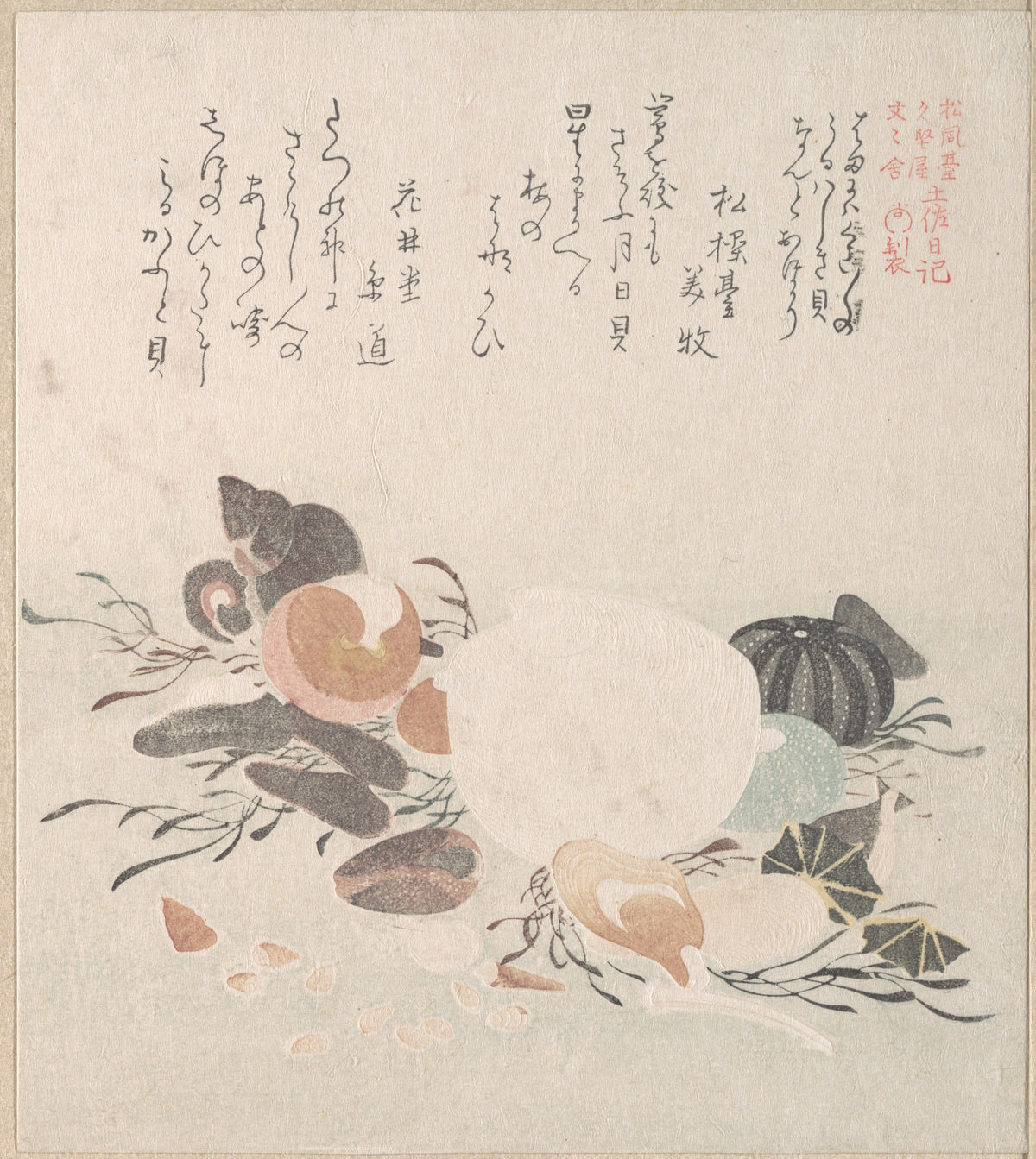 Various Shells with Sea Weeds by Kubo Shunman - Ukiyo-e canvas print