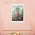 La Kalmia  feuilles troites Poster by Moryarty - Oil Painting canvas print