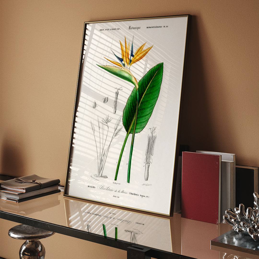 Oiseau de paradis Poster by Moryarty - Oil Painting canvas print