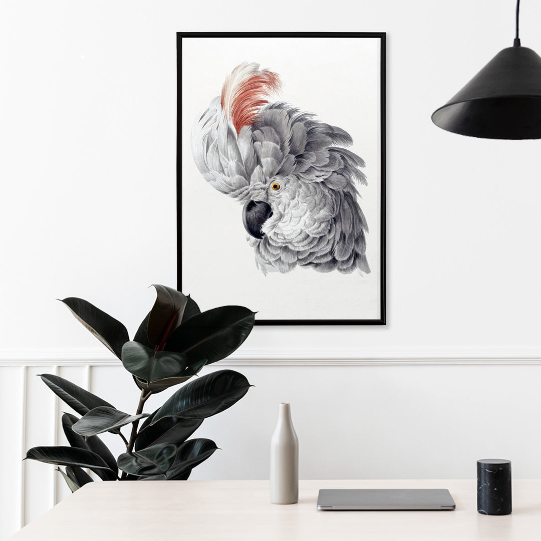 Tte de cacatos Poster by Moryarty - Oil Painting canvas print