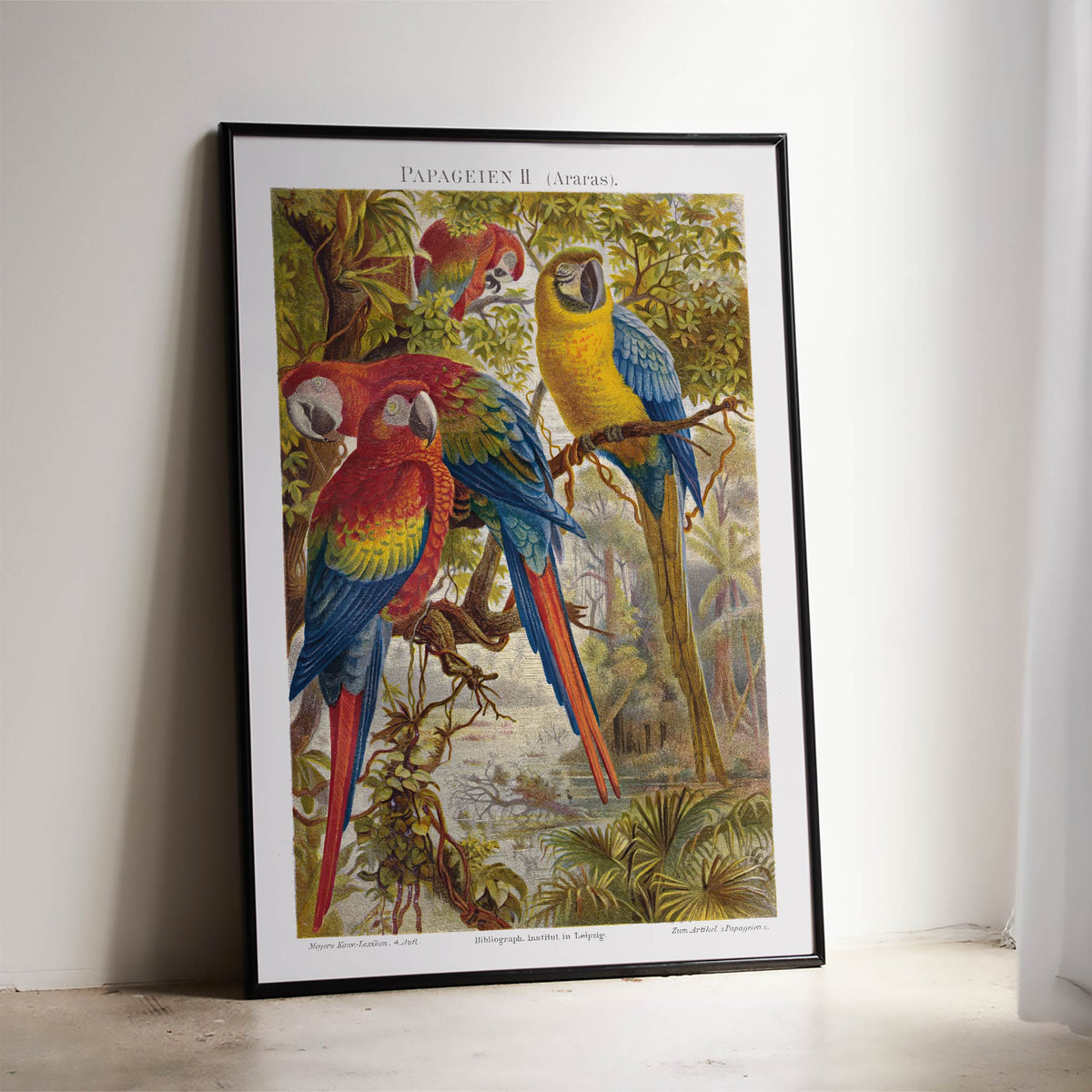 Perroquets II Poster by Moryarty - Oil Painting canvas print