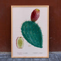 Cactus cochenillifer Poster by Moryarty - Oil Painting canvas print