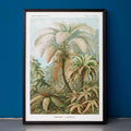 FilicinaeFougres Poster by Moryarty - Oil Painting canvas print