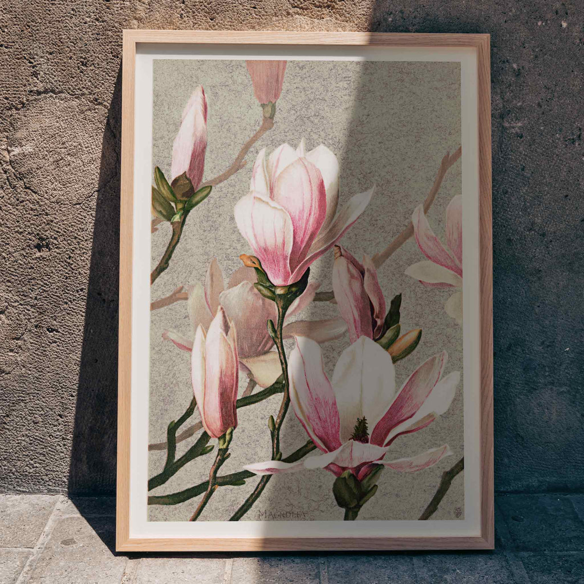 Magnolia Poster by Moryarty - Oil Painting canvas print
