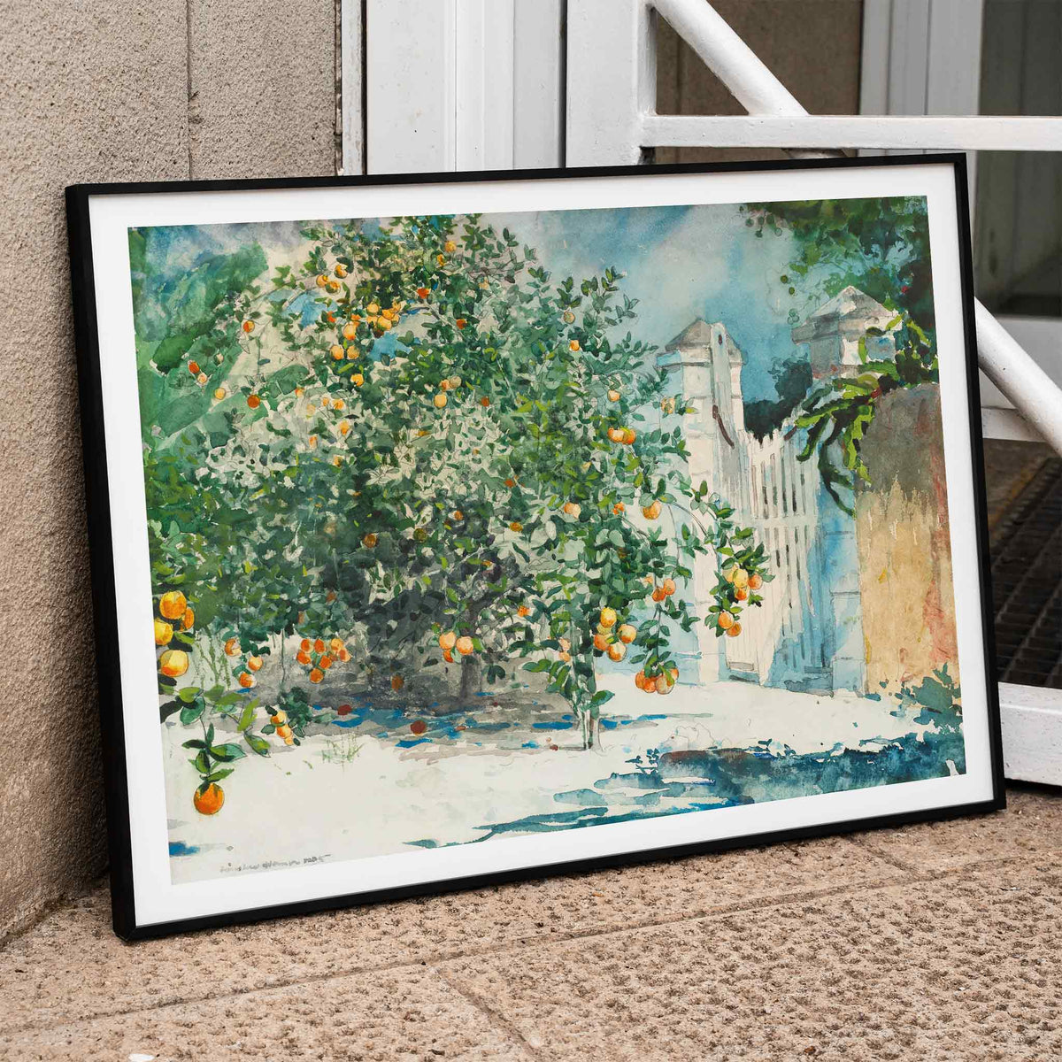 Orangers et portillon Poster by Moryarty - Oil Painting canvas print
