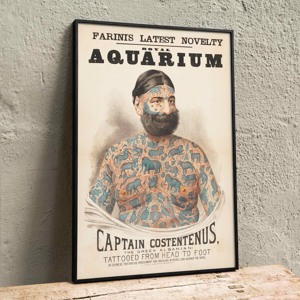 Captain Costentenus Poster by Moryarty - Oil Painting canvas print