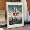 Limodoron chinois Poster by Moryarty - Oil Painting canvas print