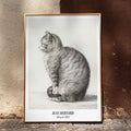 Chat assis, profil gauche Poster by Moryarty - Oil Painting canvas print