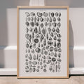 Conchologie Poster by Moryarty - Oil Painting canvas print