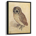 The Little Owl 1506 by Albrecht Durer by Albrecht Durer - Renaissance canvas print