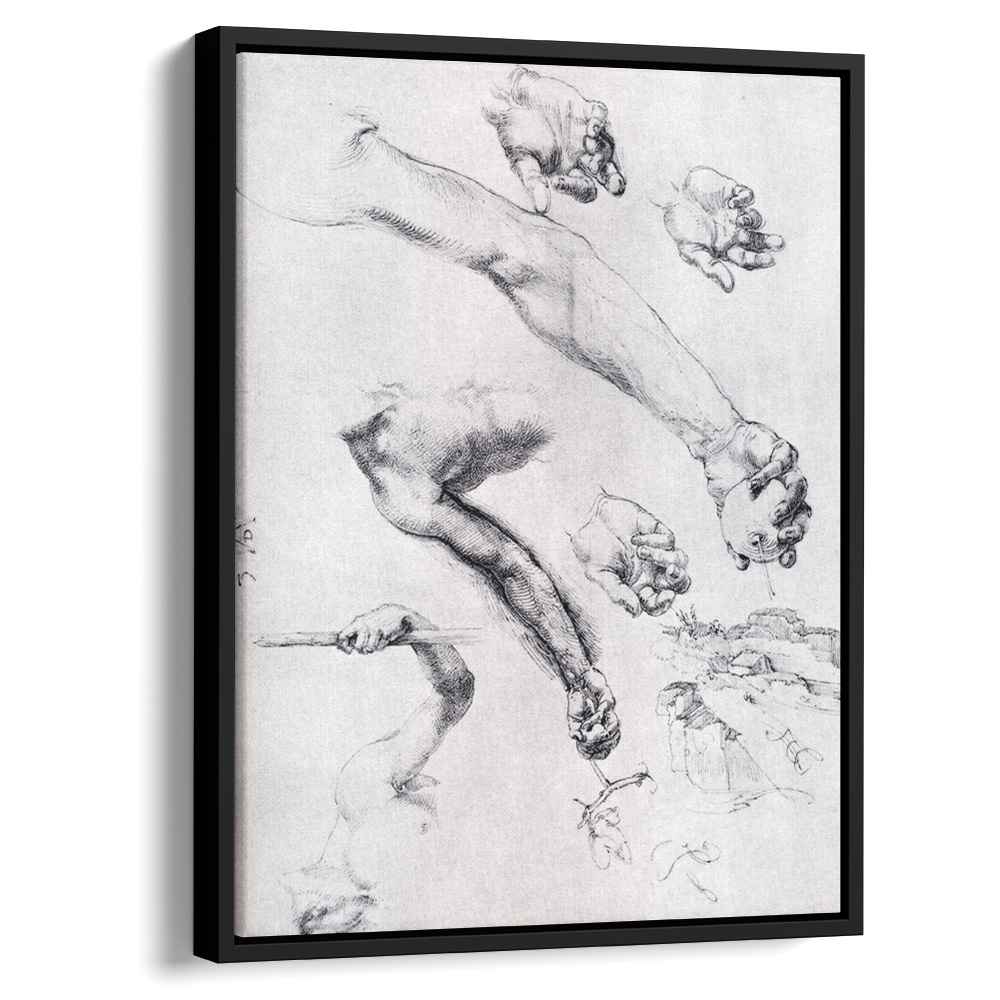 Three Studies From Nature For Adams Arms 1504 by Albrecht Durer by Albrecht Durer - Renaissance canvas print